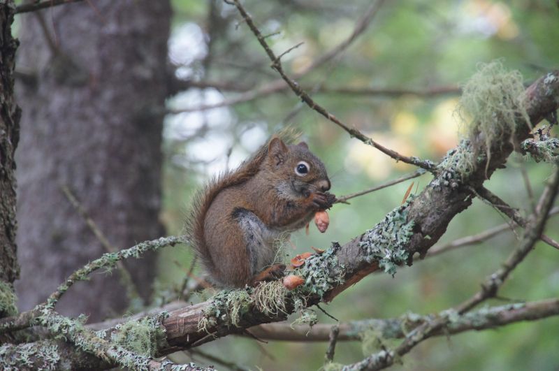 Viewing photos→2017→2017-10-09→20