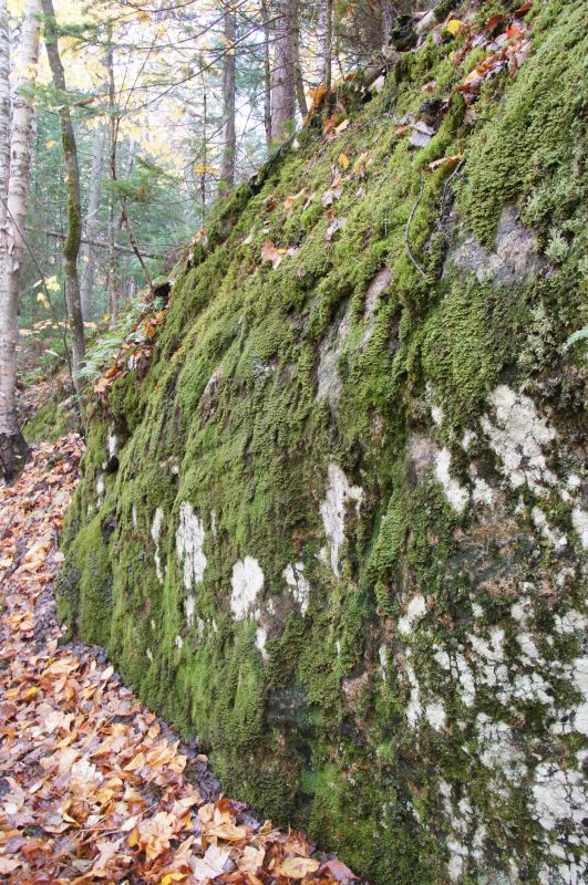 Viewing photos→2017→2017-10-09→37