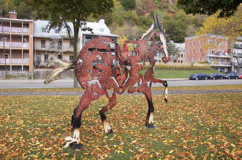 Viewing photos→2017→2017-10-10→03