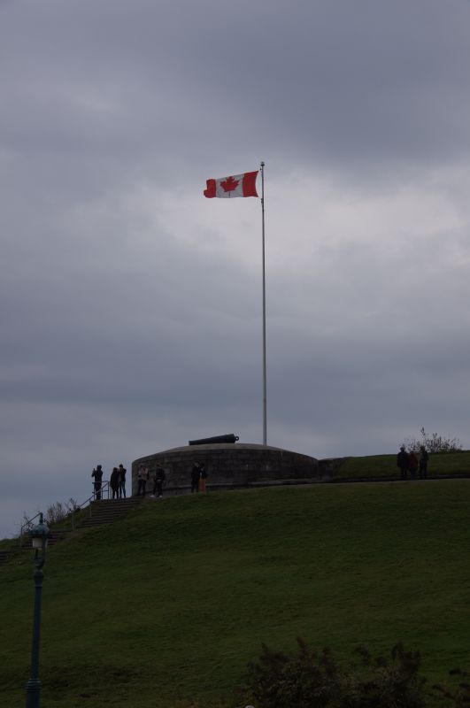 Viewing photos→2017→2017-10-10→45