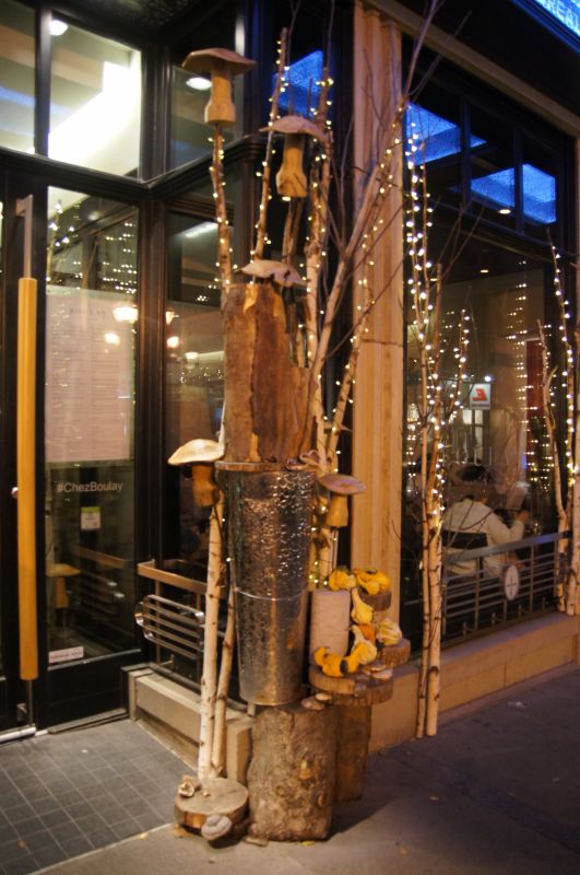 Viewing photos→2017→2017-10-10→69