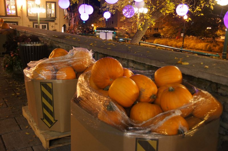 Viewing photos→2017→2017-10-10→78