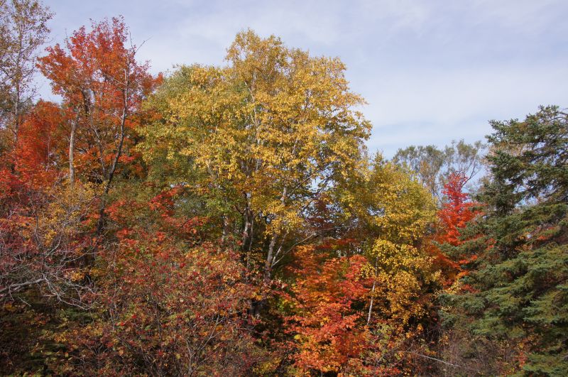 Viewing photos→2017→2017-10-10→90