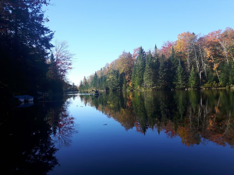 Viewing photos→2017→2017-10-12→01