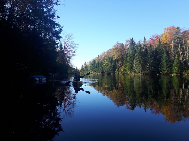 Viewing photos→2017→2017-10-12→02