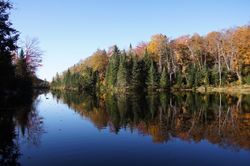 Viewing photos→2017→2017-10-12→03