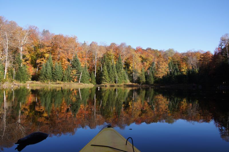 Viewing photos→2017→2017-10-12→07