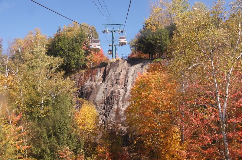 Viewing photos→2017→2017-10-12→11