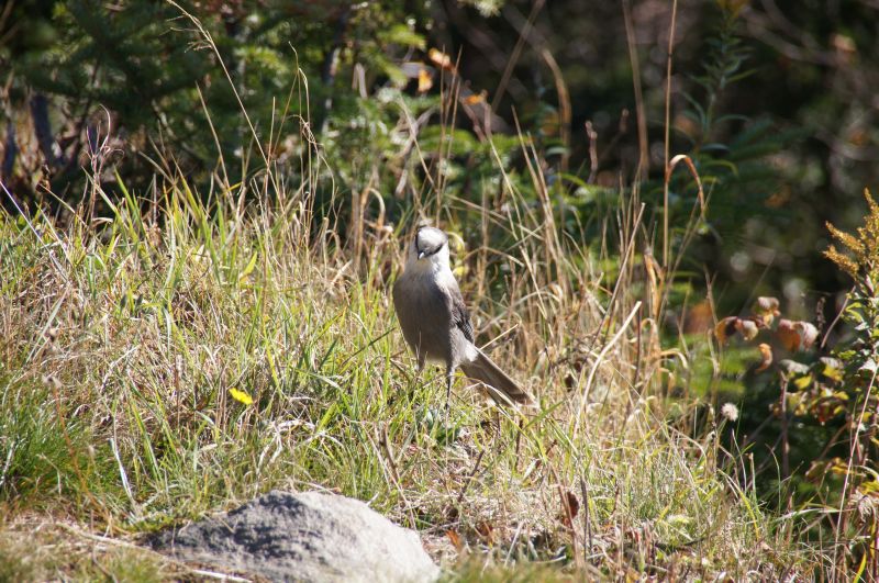 Viewing photos→2017→2017-10-12→15