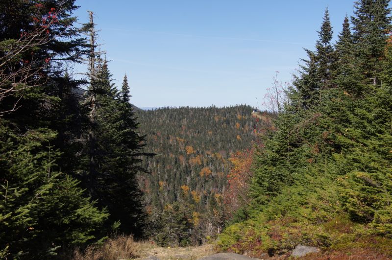 Viewing photos→2017→2017-10-12→20