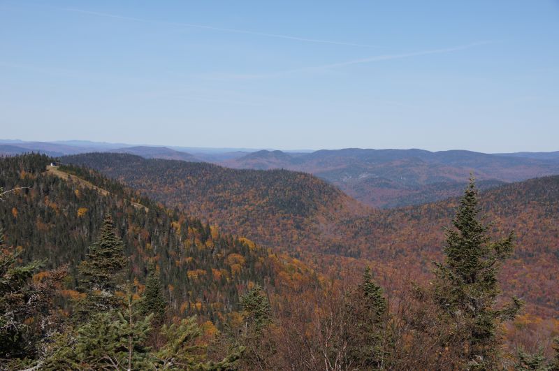 Viewing photos→2017→2017-10-12→23