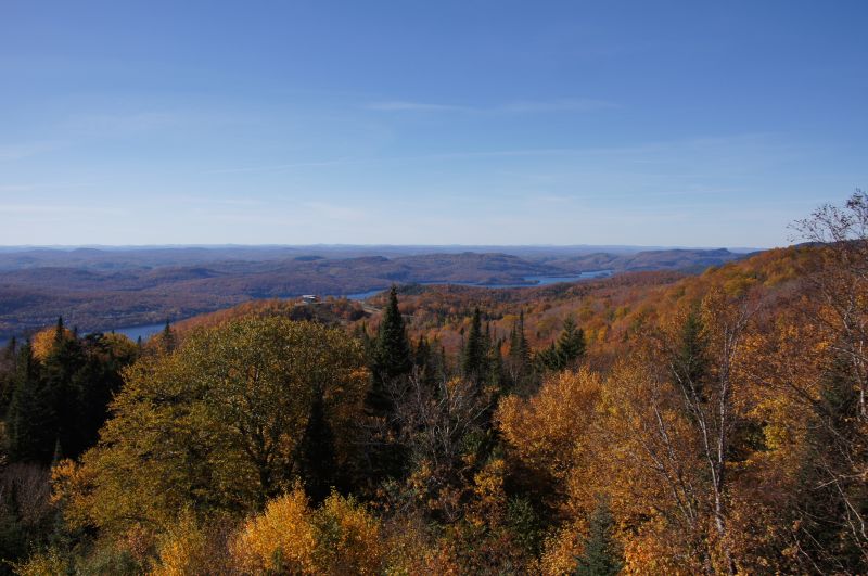 Viewing photos→2017→2017-10-12→31