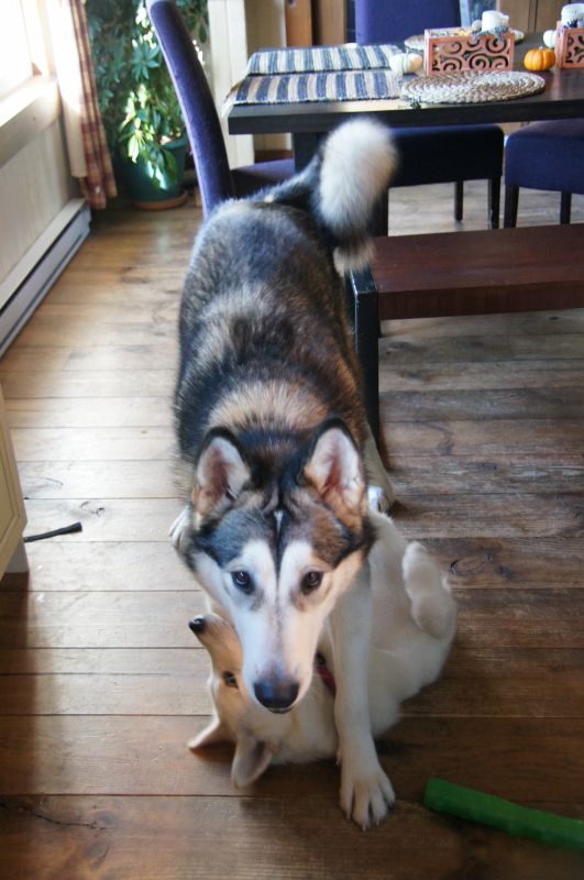 Viewing photos→2017→2017-10-12→34