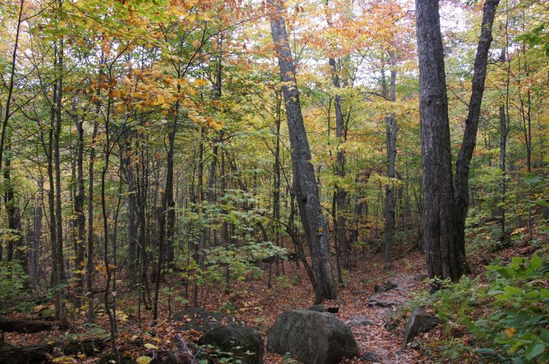 Viewing photos→2017→2017-10-14→06