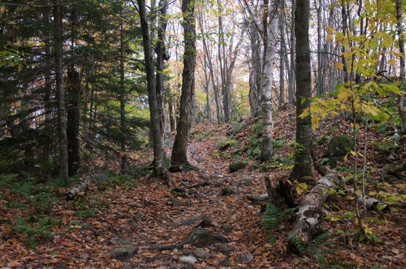 Viewing photos→2017→2017-10-14→12