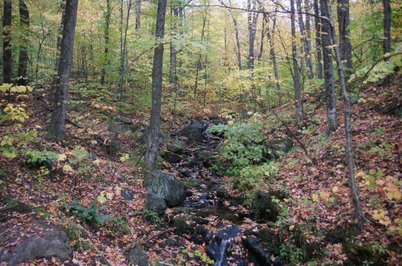 Viewing photos→2017→2017-10-14→19