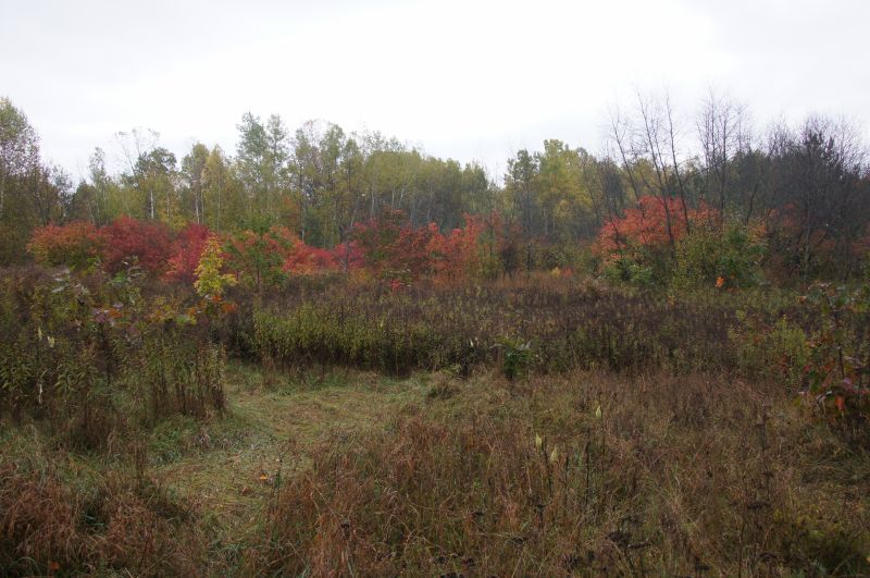 Viewing photos→2017→2017-10-15→01