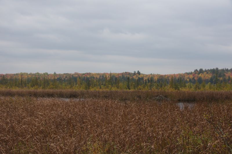 Viewing photos→2017→2017-10-15→03