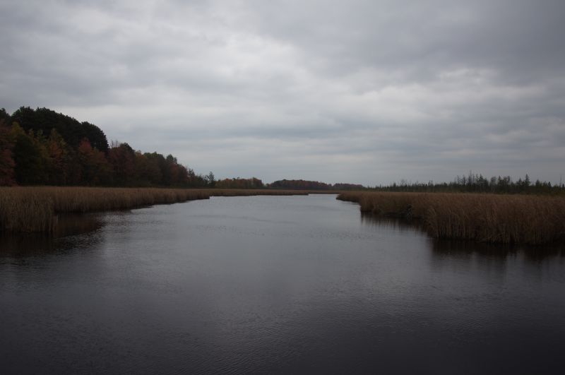 Viewing photos→2017→2017-10-15→05