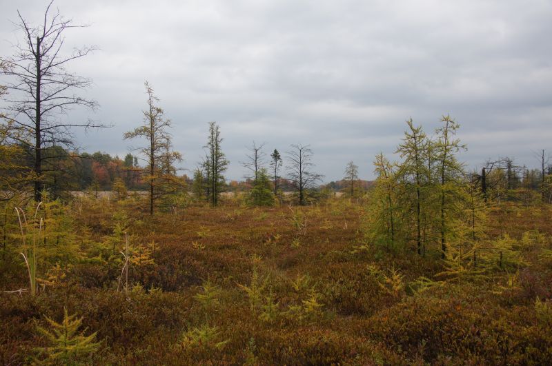 Viewing photos→2017→2017-10-15→11