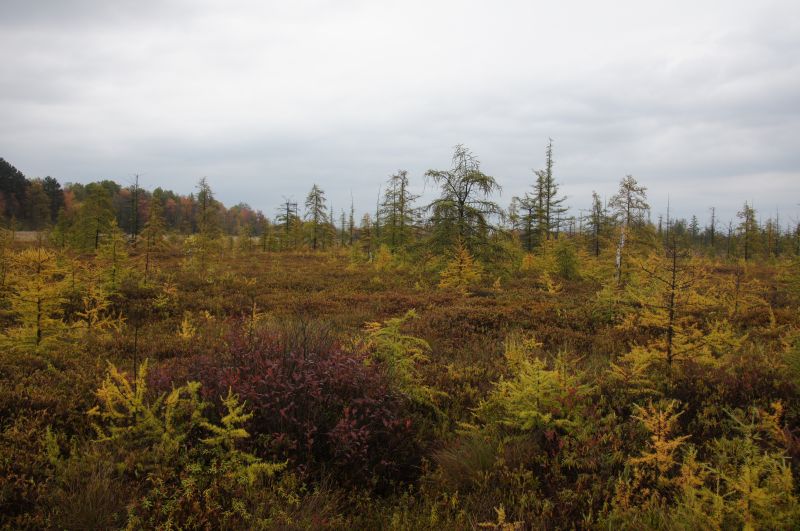 Viewing photos→2017→2017-10-15→14