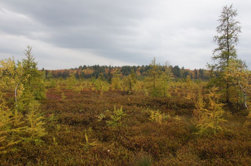 Viewing photos→2017→2017-10-15→15