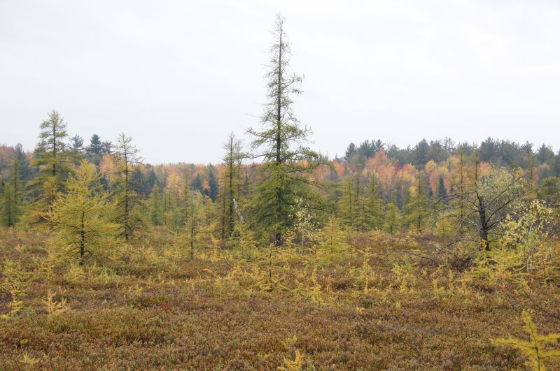 Viewing photos→2017→2017-10-15→21