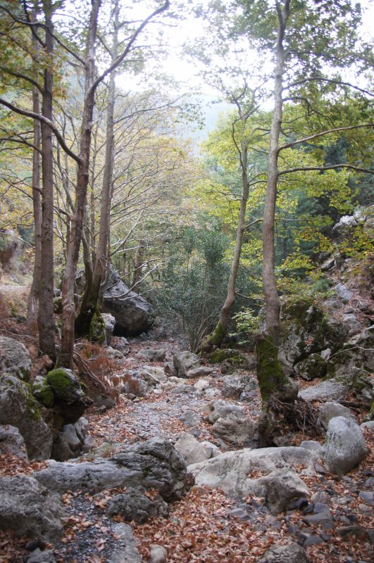 Viewing photos→2017→2017-10-28→01