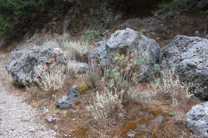 Viewing photos→2017→2017-10-28→05