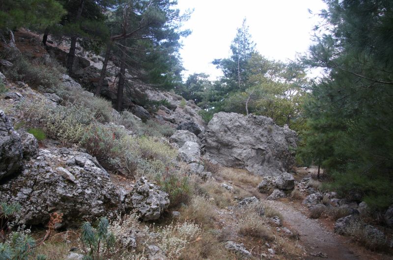 Viewing photos→2017→2017-10-28→08