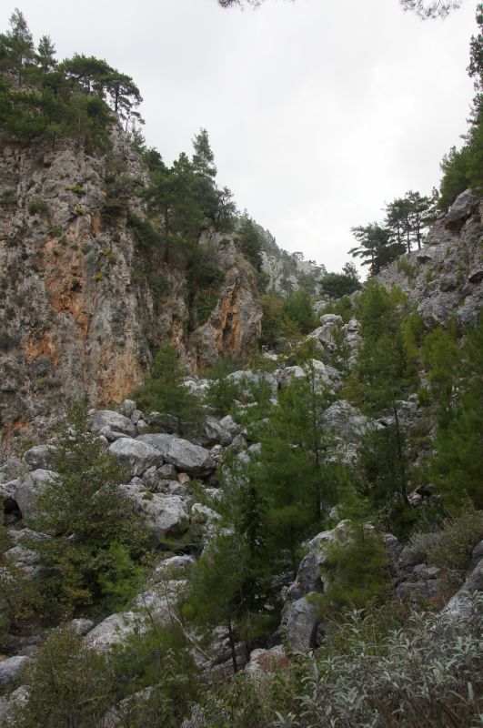 Viewing photos→2017→2017-10-28→10