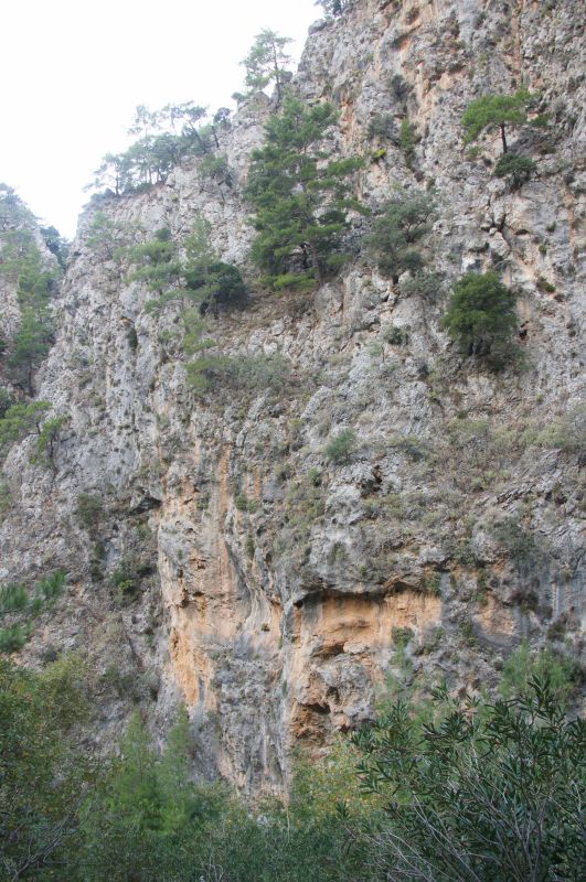 Viewing photos→2017→2017-10-28→11