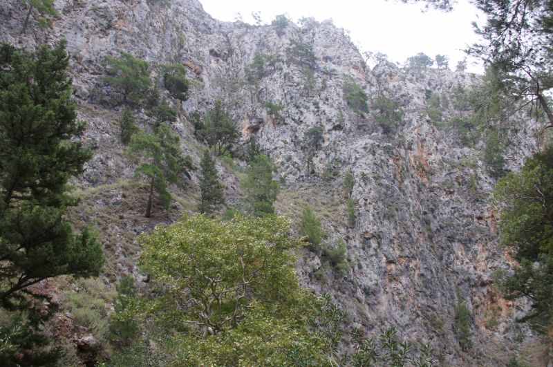 Viewing photos→2017→2017-10-28→19