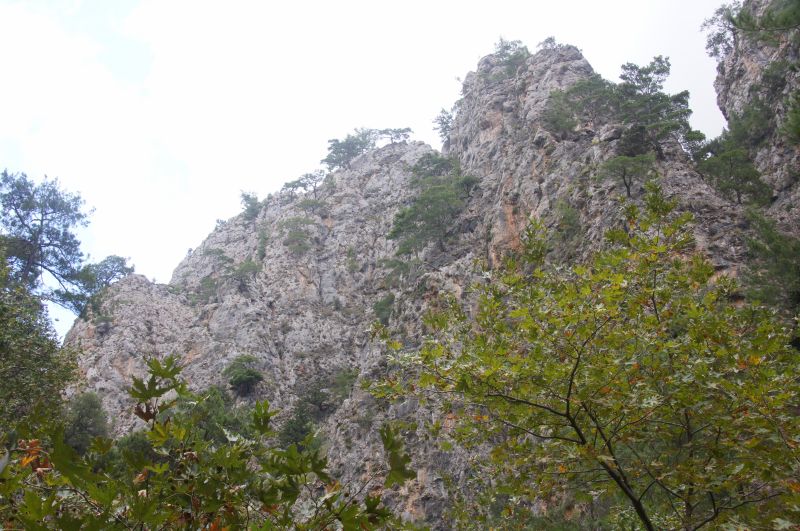 Viewing photos→2017→2017-10-28→22