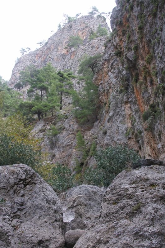 Viewing photos→2017→2017-10-28→26