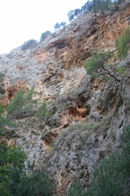 Viewing photos→2017→2017-10-28→39