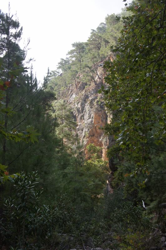 Viewing photos→2017→2017-10-28→41