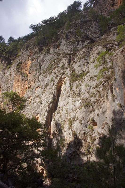 Viewing photos→2017→2017-10-28→43