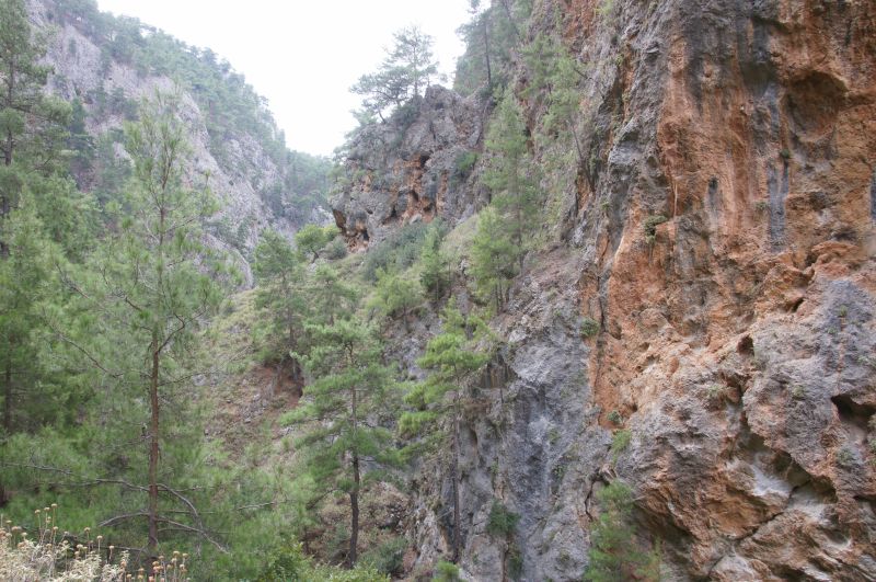 Viewing photos→2017→2017-10-28→47