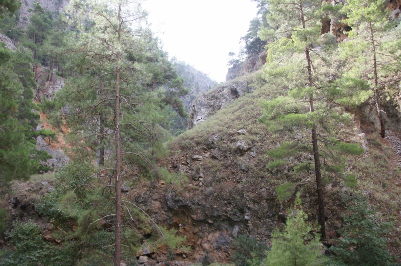 Viewing photos→2017→2017-10-28→48