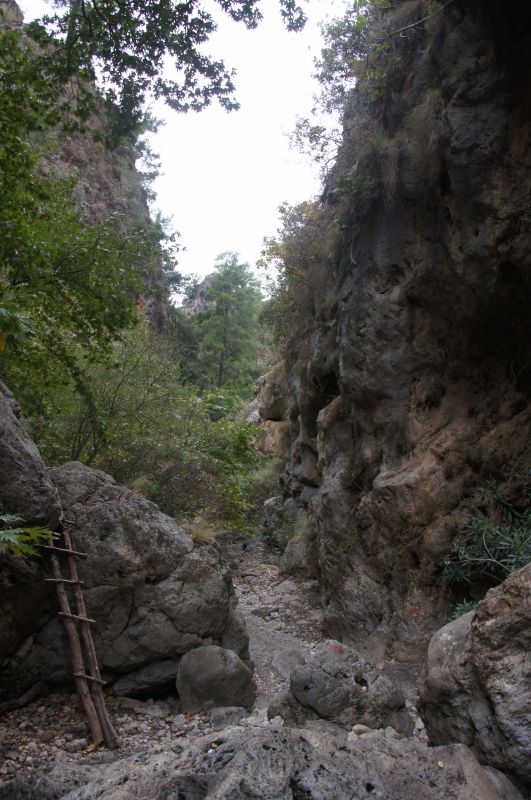 Viewing photos→2017→2017-10-28→50