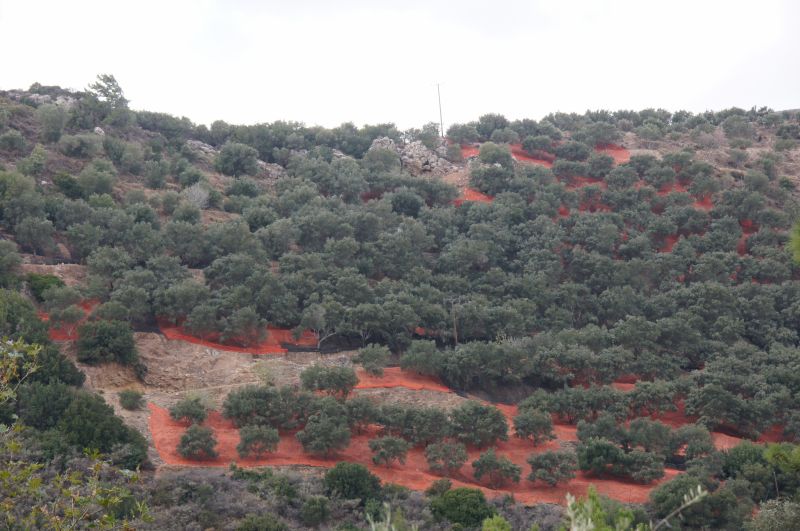 Viewing photos→2017→2017-10-28→54