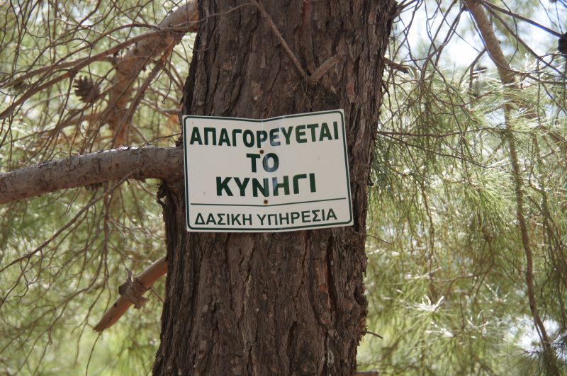 Viewing photos→2017→2017-10-28→61