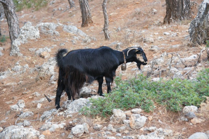 Viewing photos→2017→2017-10-28→79