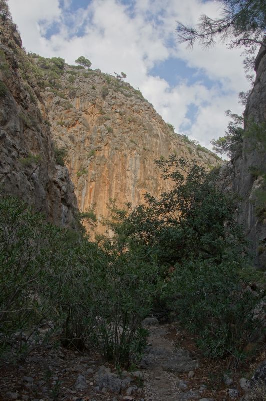 Viewing photos→2017→2017-10-28→81