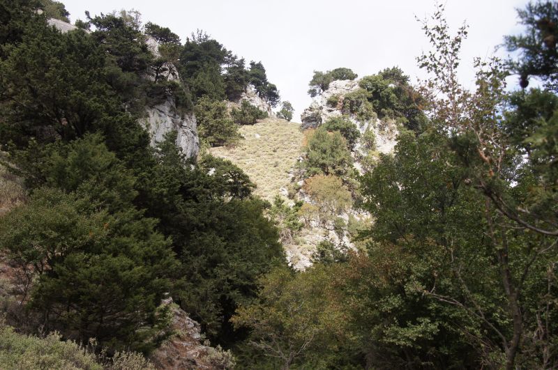 Viewing photos→2017→2017-10-29→01