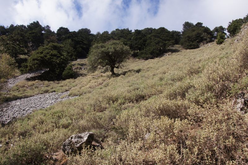 Viewing photos→2017→2017-10-29→03