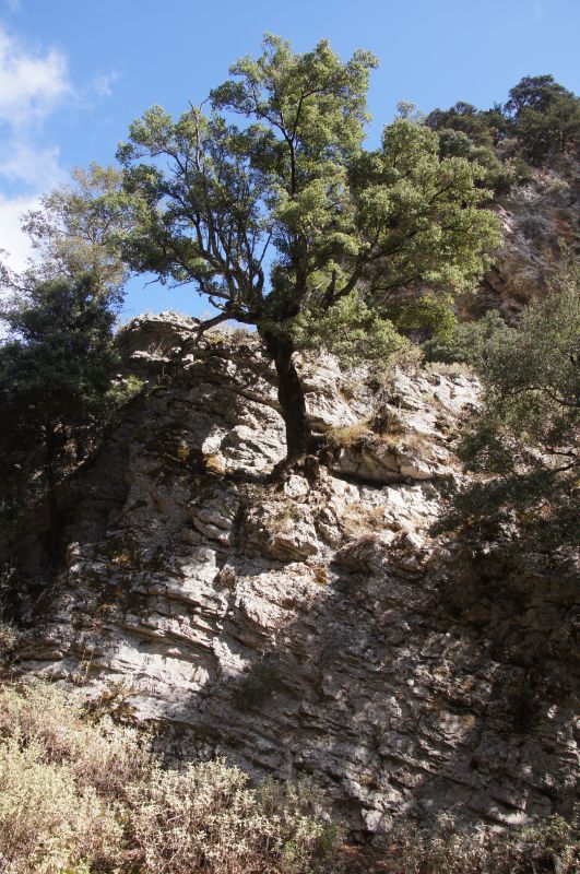 Viewing photos→2017→2017-10-29→05