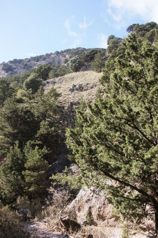 Viewing photos→2017→2017-10-29→06