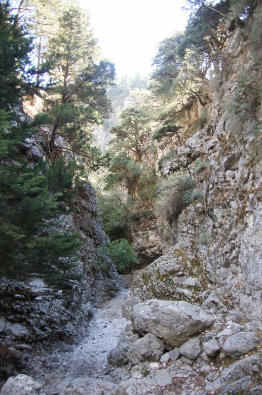 Viewing photos→2017→2017-10-29→08